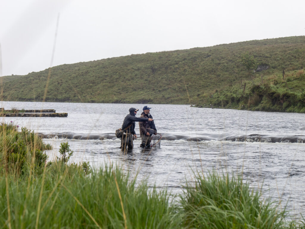Guided fly fishing on a beautiful Irish river in the Irish countryside, with a fly fisherman casting for wild trout in Ireland